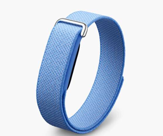 Google Fitbit Airのレンタル