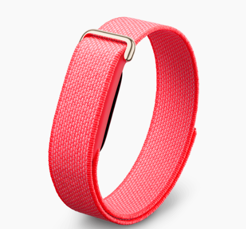 Google Fitbit Airのレンタル