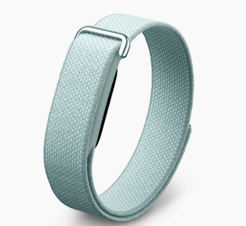 Google Fitbit Airのレンタル