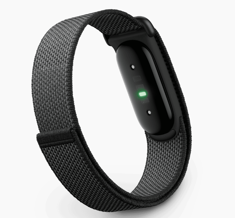 Google Fitbit Airのレンタル