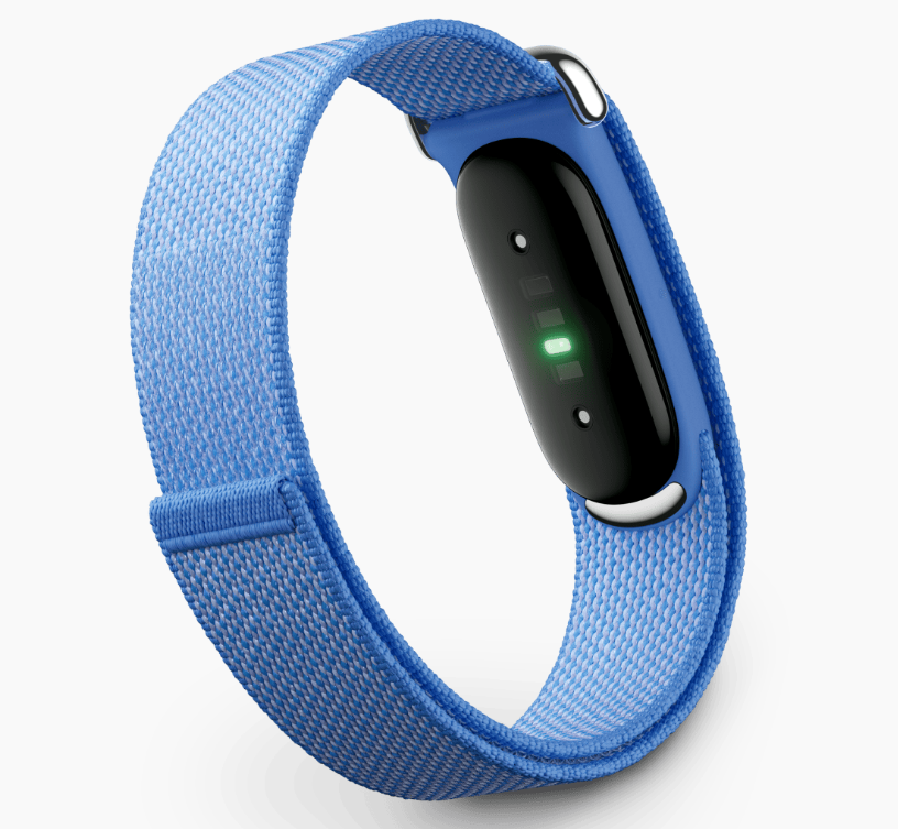 Google Fitbit Airのレンタル