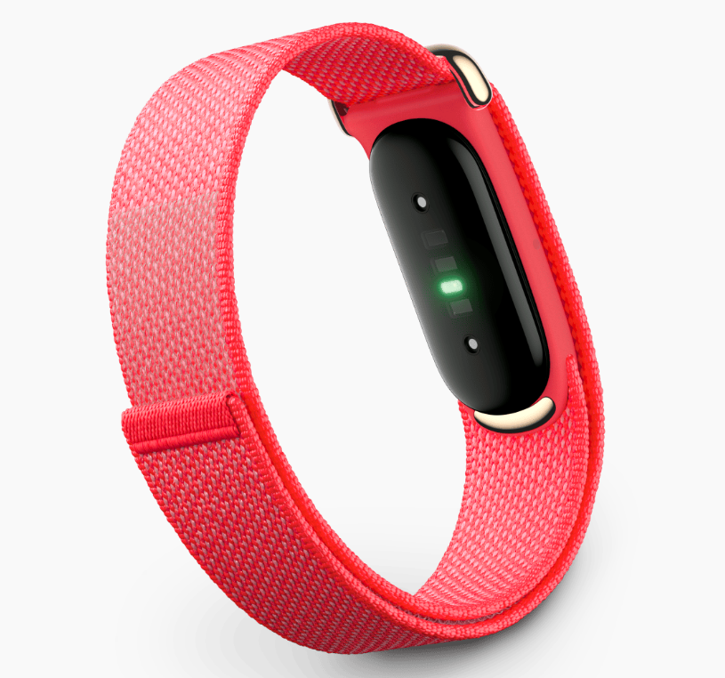 Google Fitbit Airのレンタル