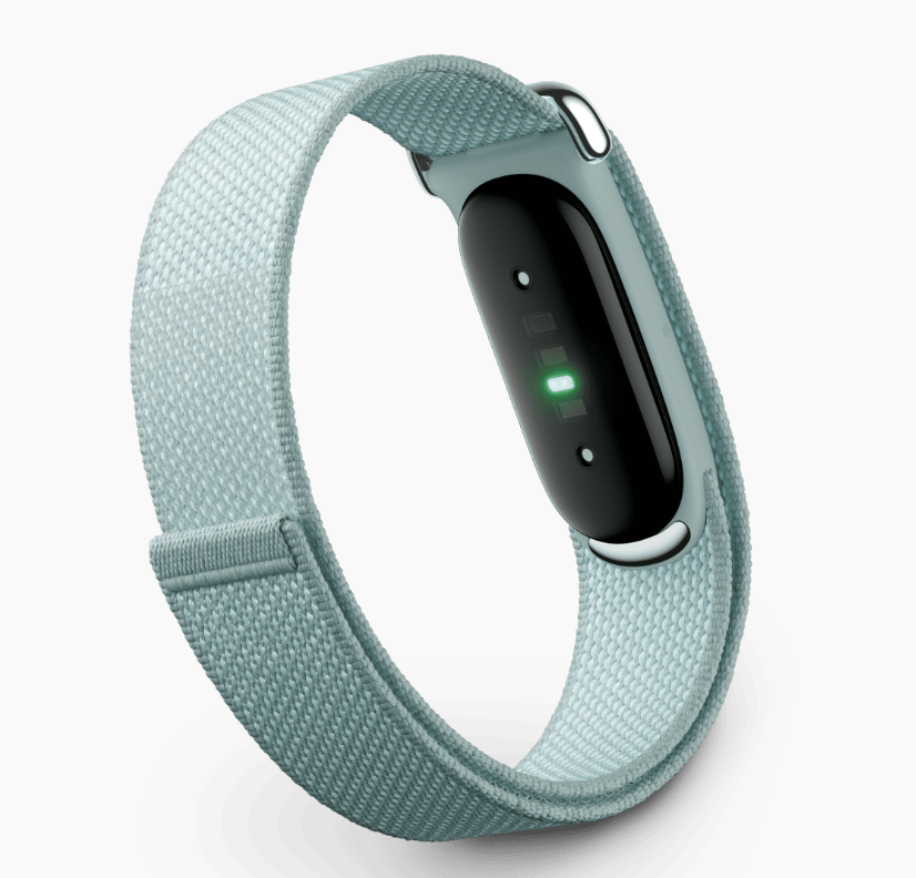 Google Fitbit Airのレンタル