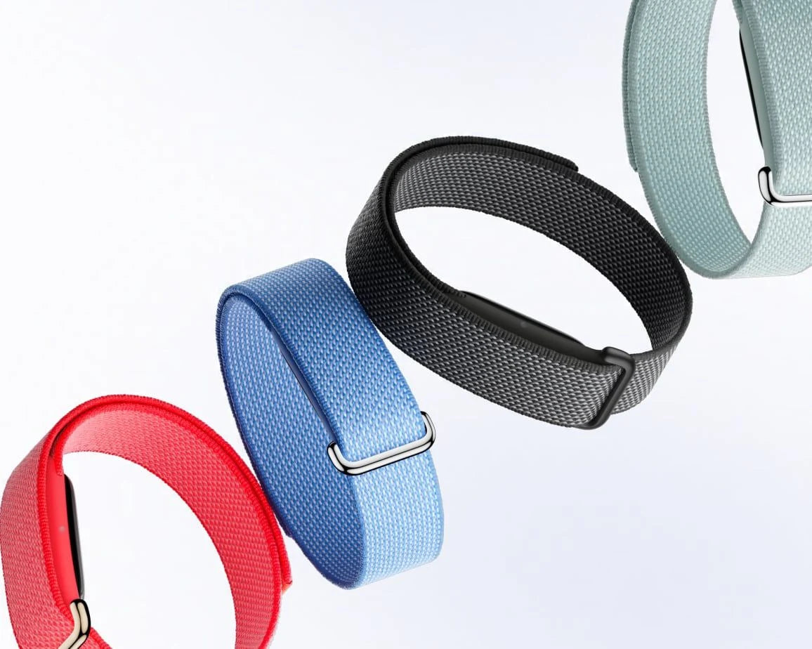 Google Fitbit Airのレンタル