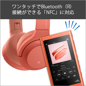 ソニー ウォークマン NW-A45 16GBのレンタル