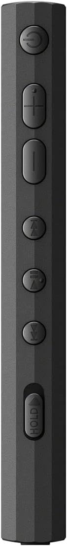 ソニー ウォークマン NW-A307 64GBのレンタル