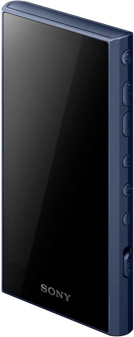 ソニー ウォークマン NW-A307 64GBのレンタル