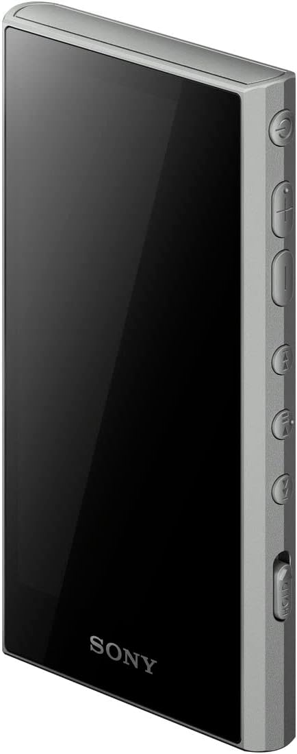 ソニー ウォークマン NW-A307 64GBのレンタル