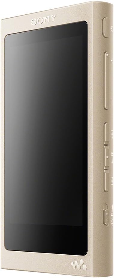 ソニー ウォークマン NW-A45 16GBのレンタル