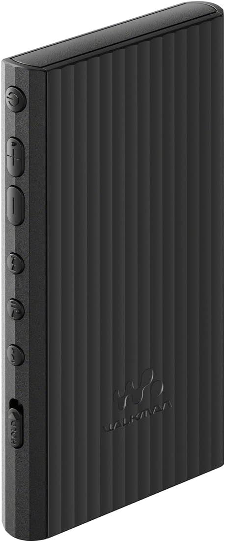 ソニー ウォークマン NW-A307 64GBのレンタル