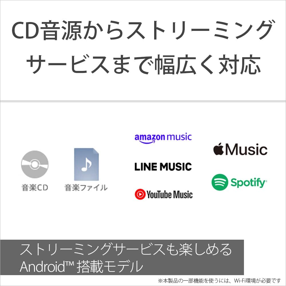 ソニー ウォークマン NW-A307 64GBのレンタル