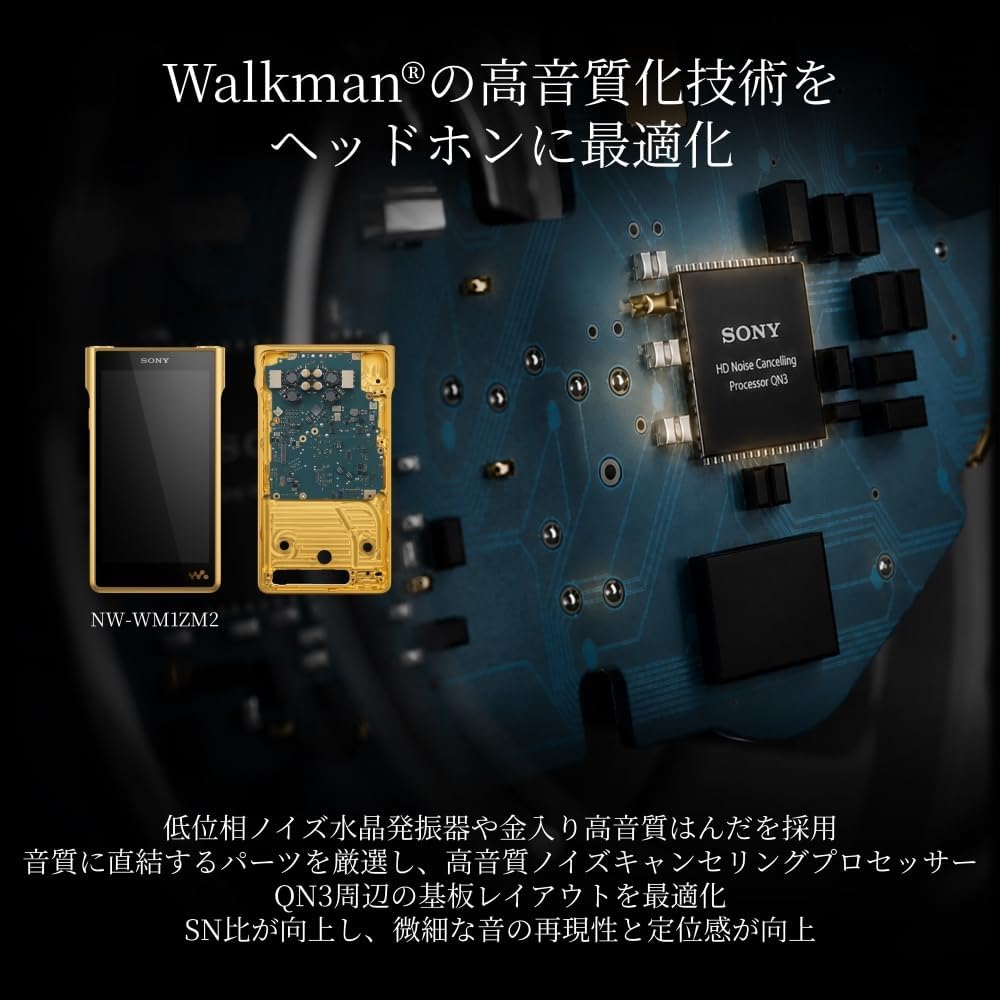 SONY ヘッドホン 1000X THE COLLEXIONのレンタル