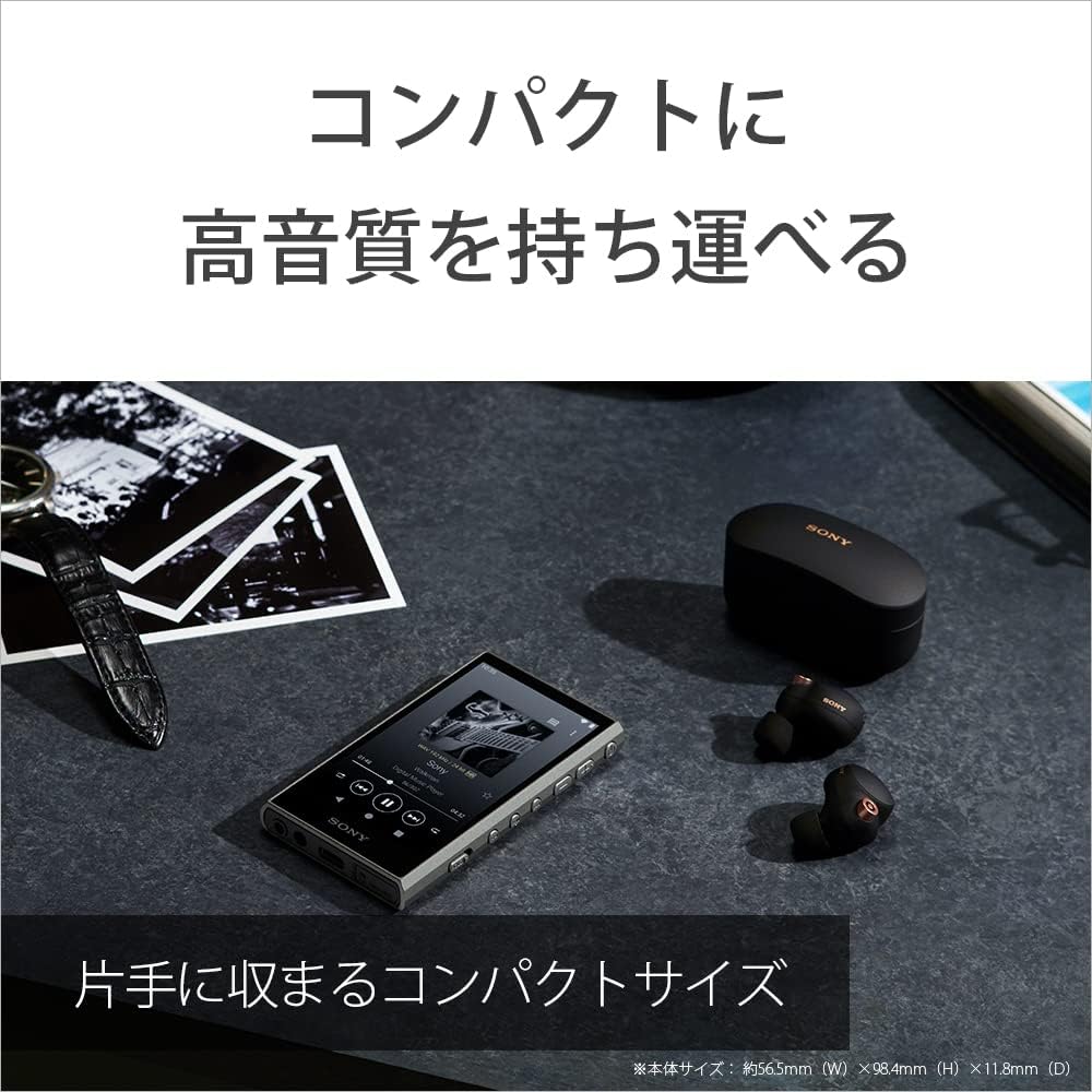 ソニー ウォークマン NW-A307 64GBのレンタル