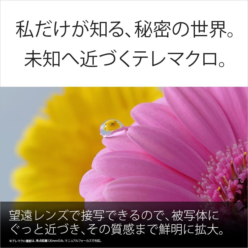 Xperia 1 VIIのレンタル