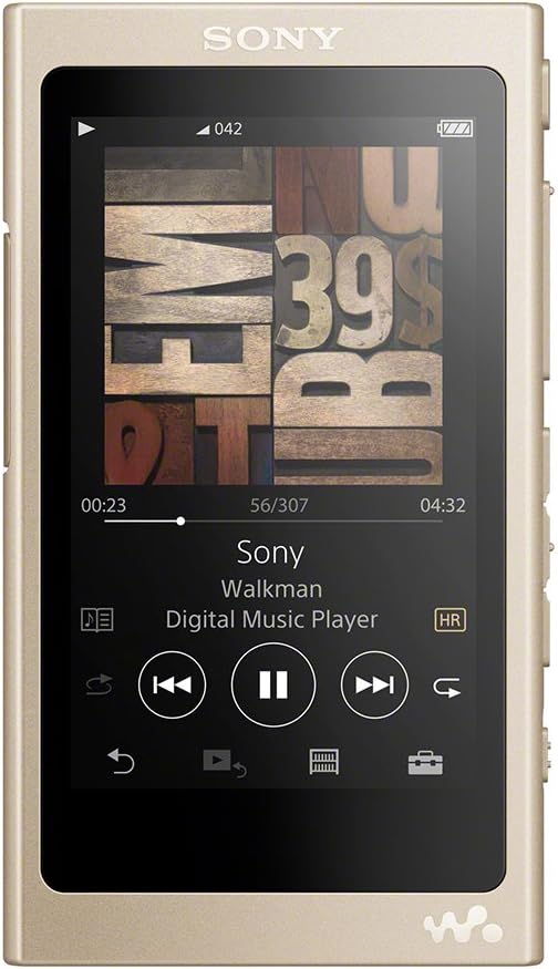 ソニー ウォークマン NW-A45 16GBのレンタル