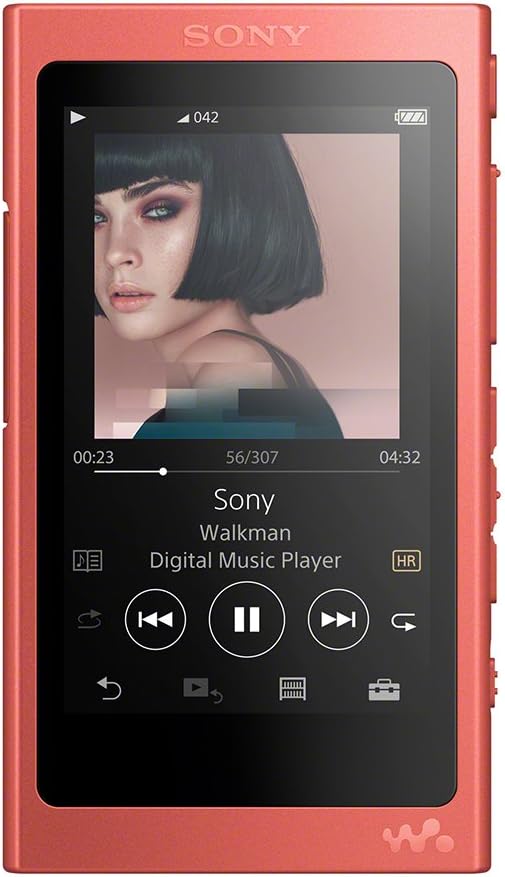 ソニー ウォークマン NW-A45 16GBのレンタル