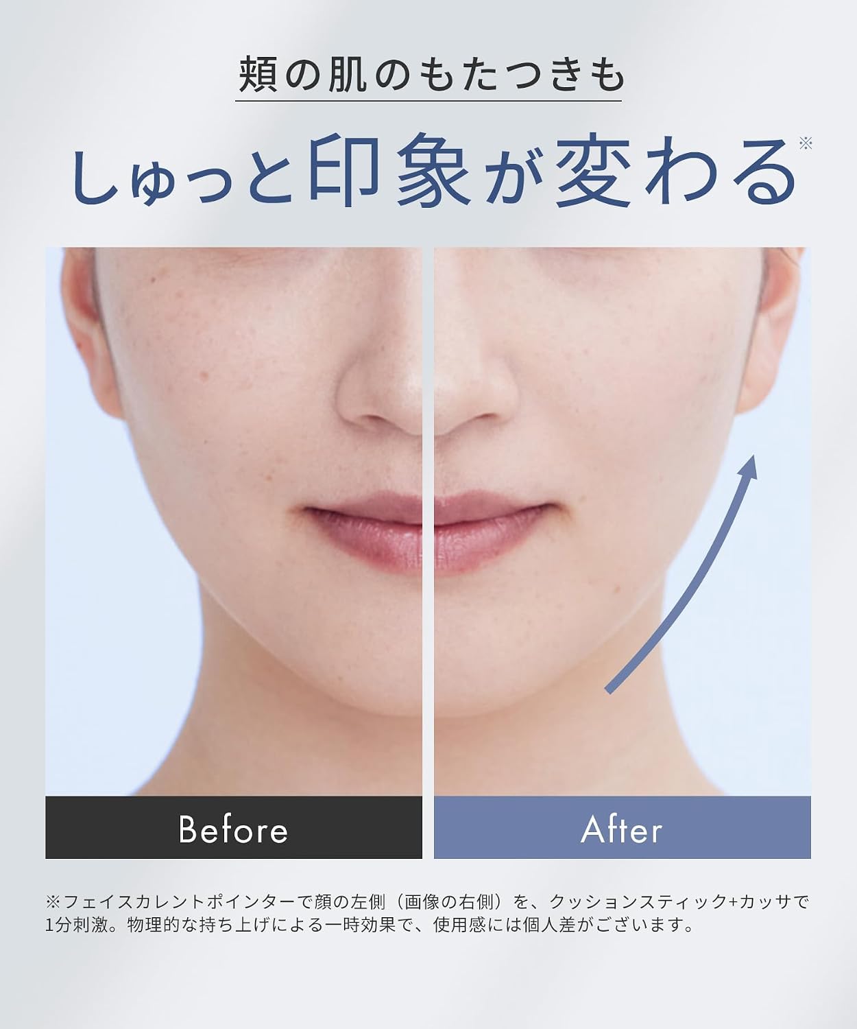 SALONIA フェイスポインター SAL25320SLのレンタル