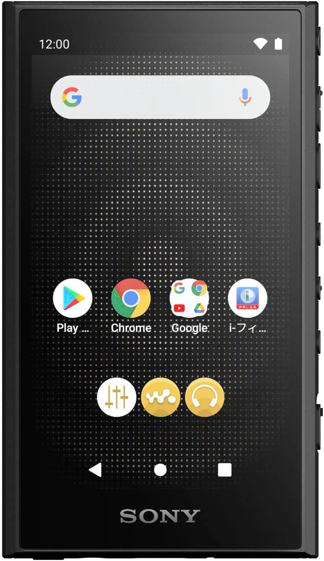 ソニー ウォークマン NW-A307 64GBのレンタル