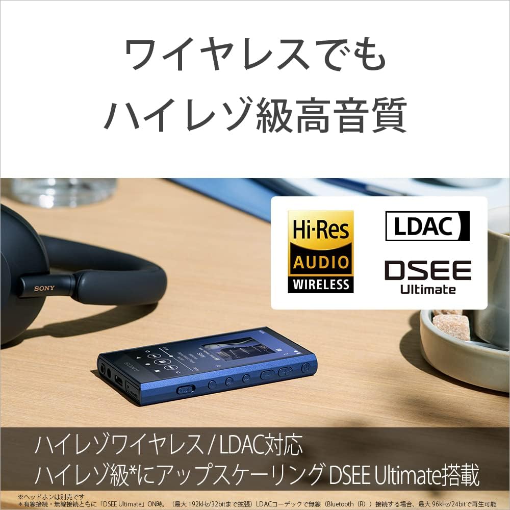 ソニー ウォークマン NW-A307 64GBのレンタル