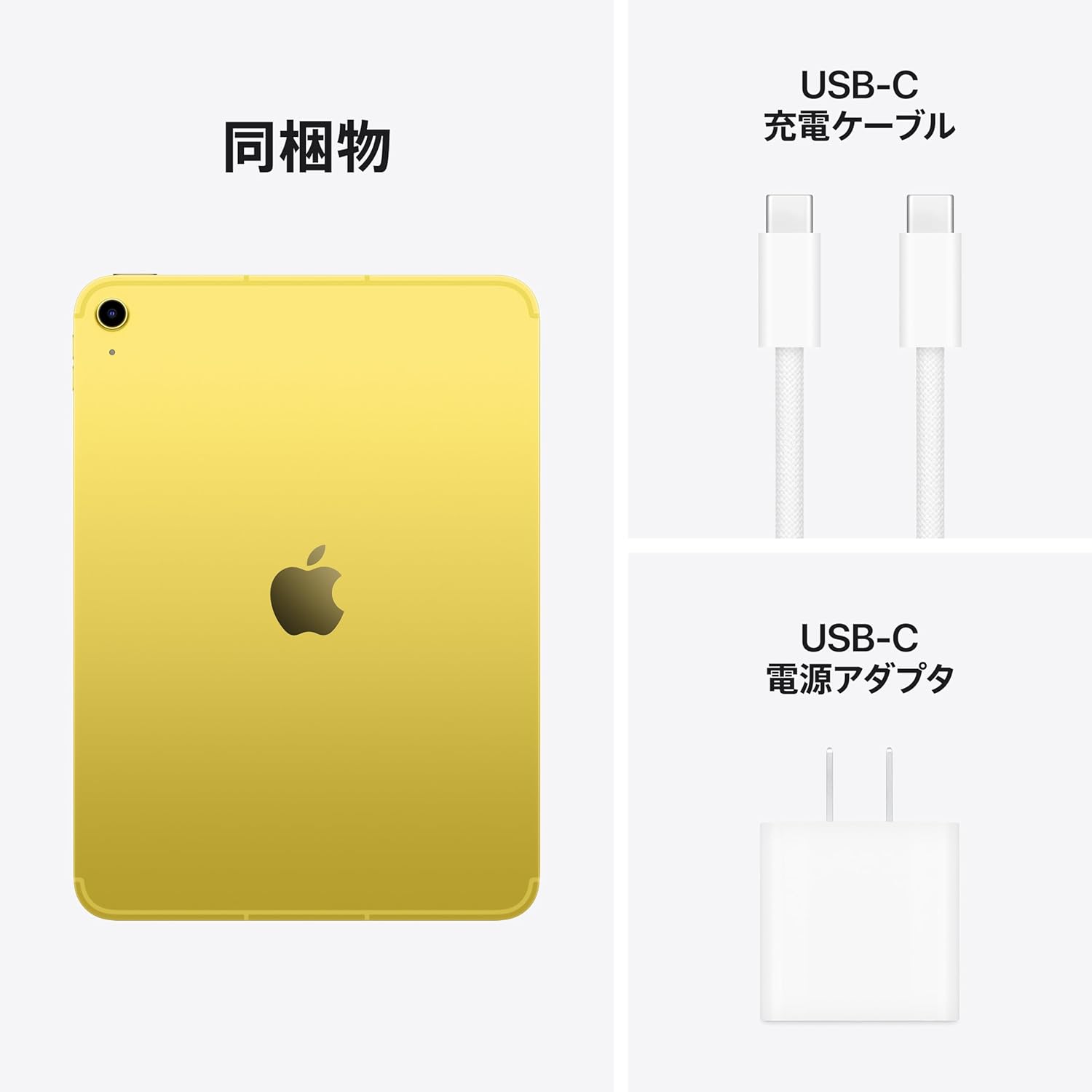 iPad A16（第11世代） 11インチ Cellularのレンタル