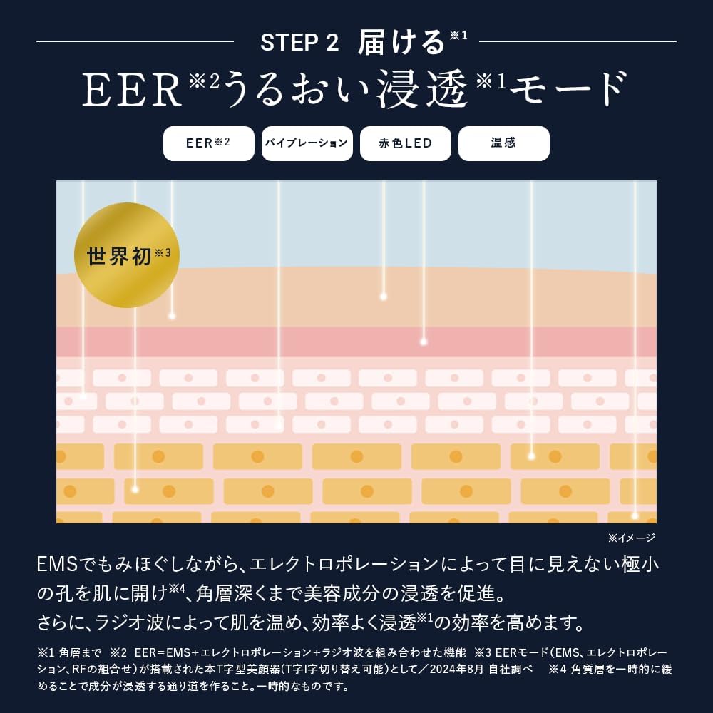 DISM 美顔器 EMS EERのレンタル