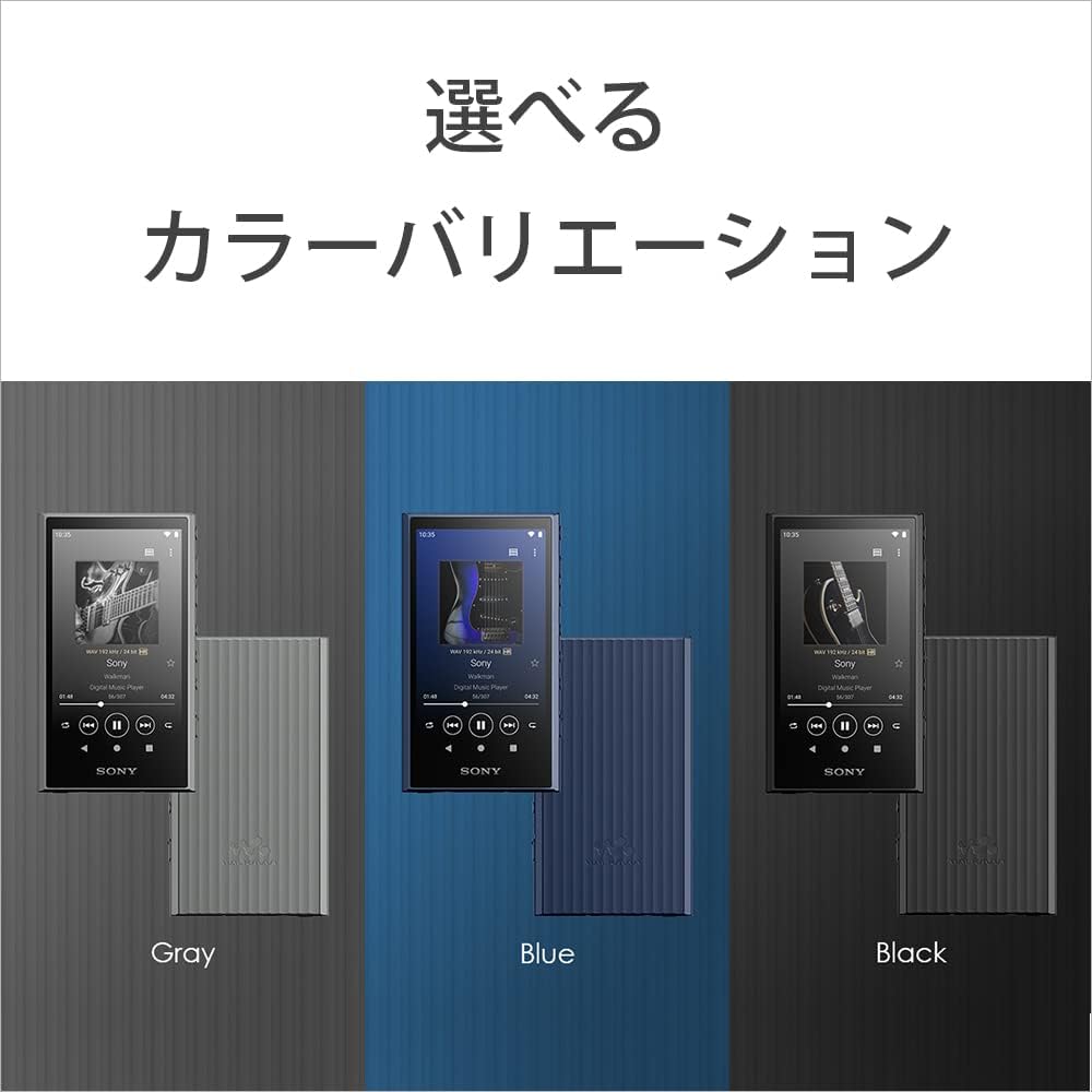 ソニー ウォークマン NW-A307 64GBのレンタル