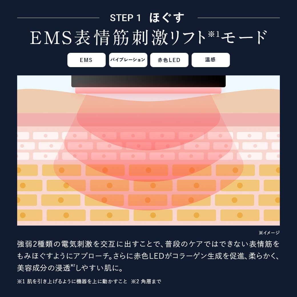 DISM 美顔器 EMS EERのレンタル