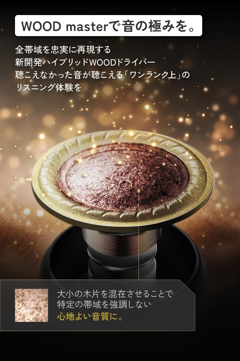 Victor JVCケンウッド WOOD masterのレンタル