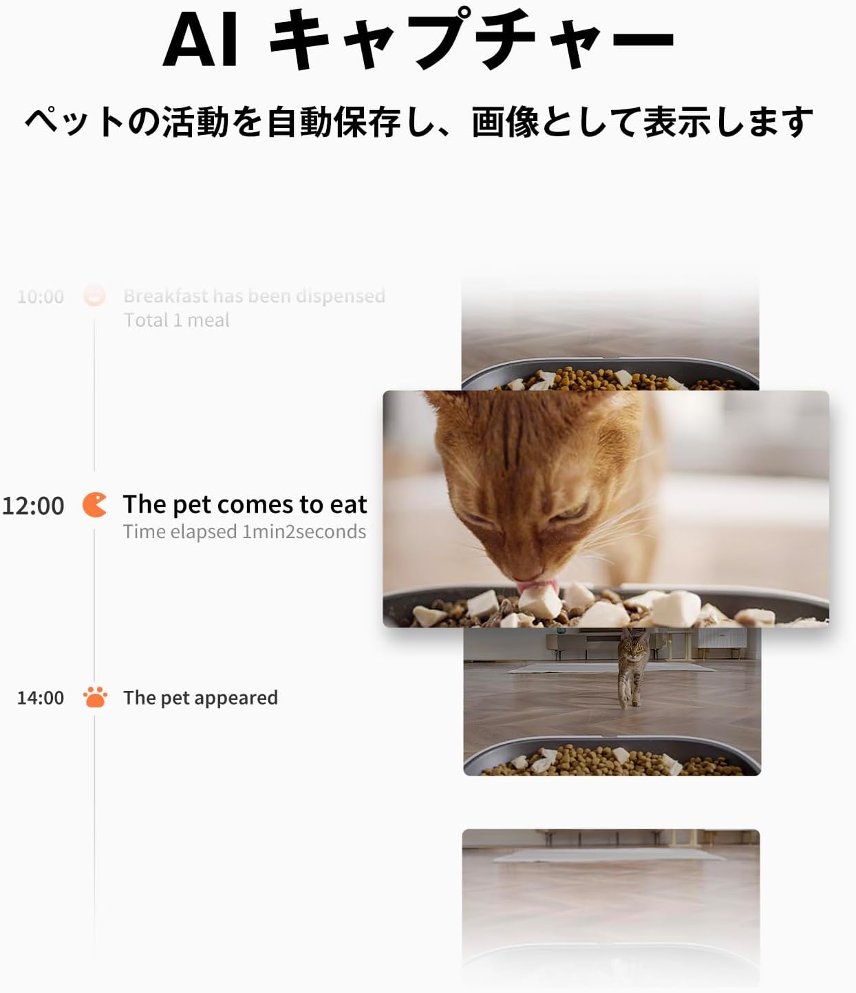 PETKIT 自動給餌器 P591のレンタル
