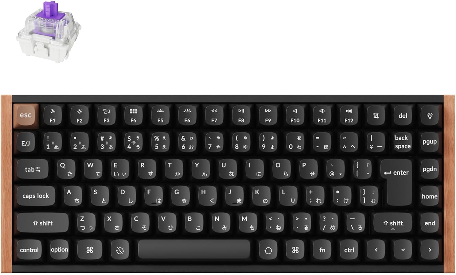Keychron K2 HE カスタムキーボードのレンタル