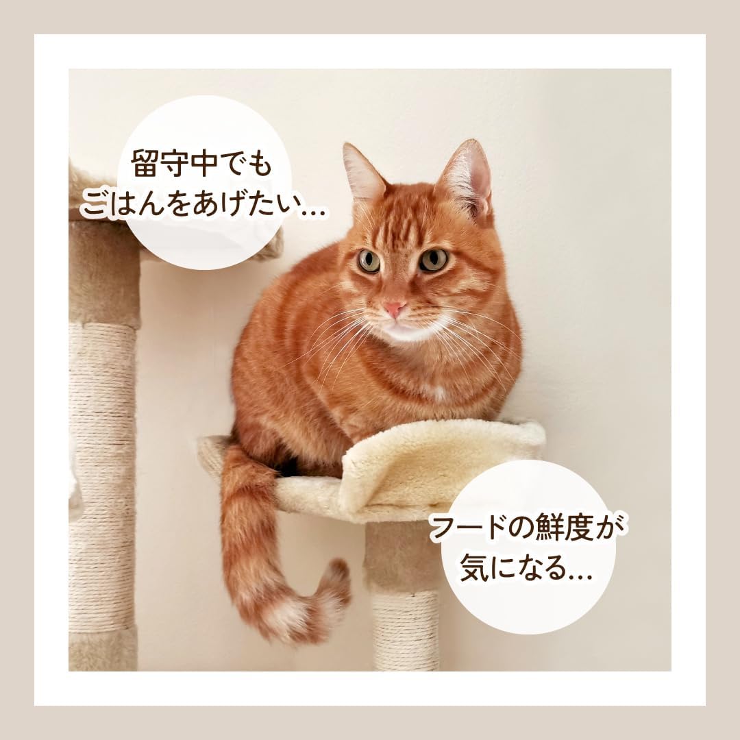 ナクラム 自動給餌器 4L DC-552のレンタル