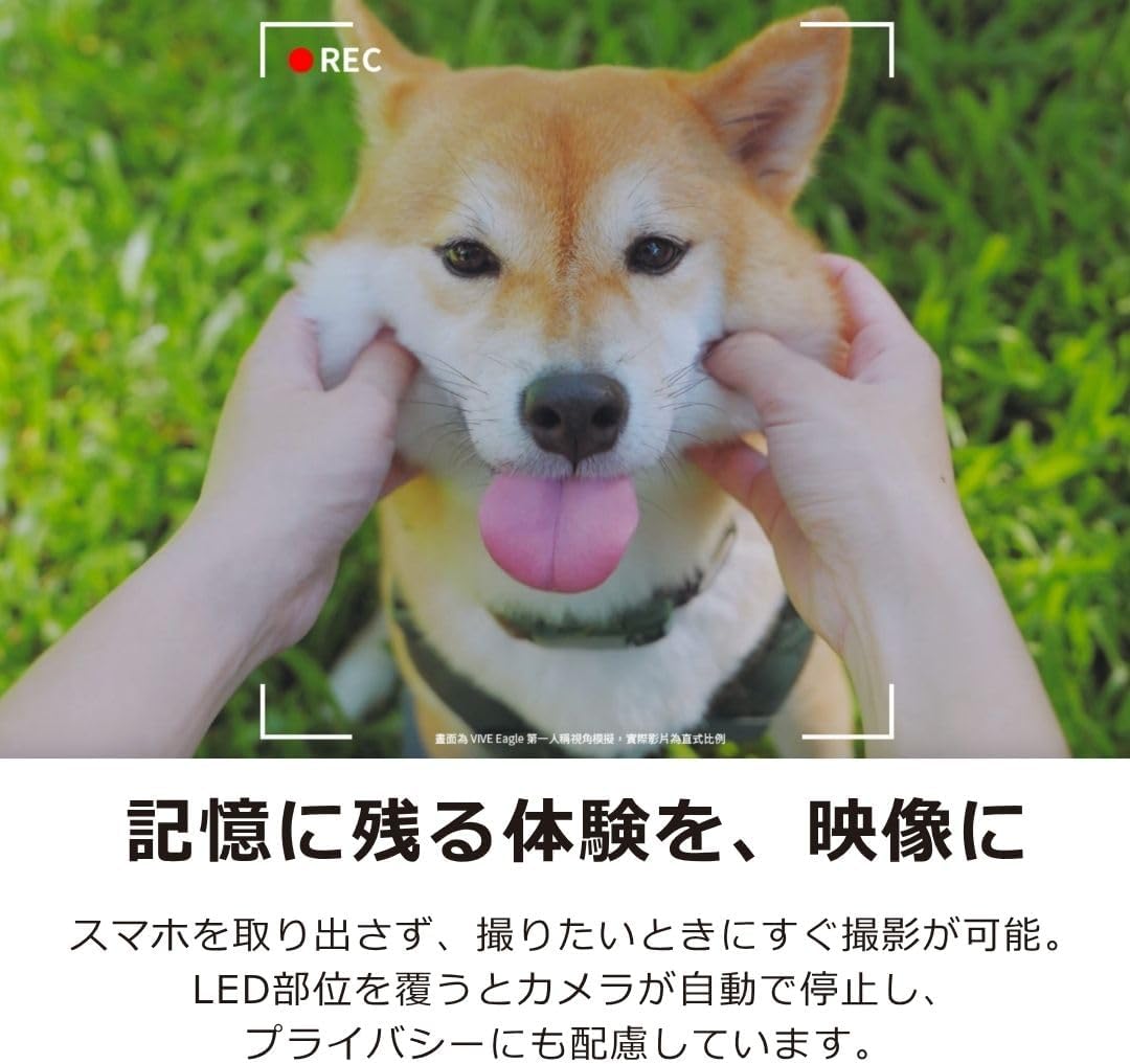 VIVE AIスマートグラス Eagleのレンタル