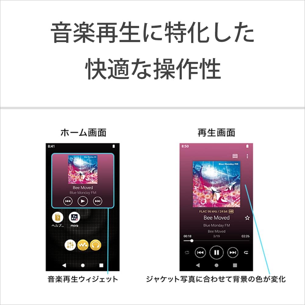 ソニー ウォークマン NW-A307 64GBのレンタル