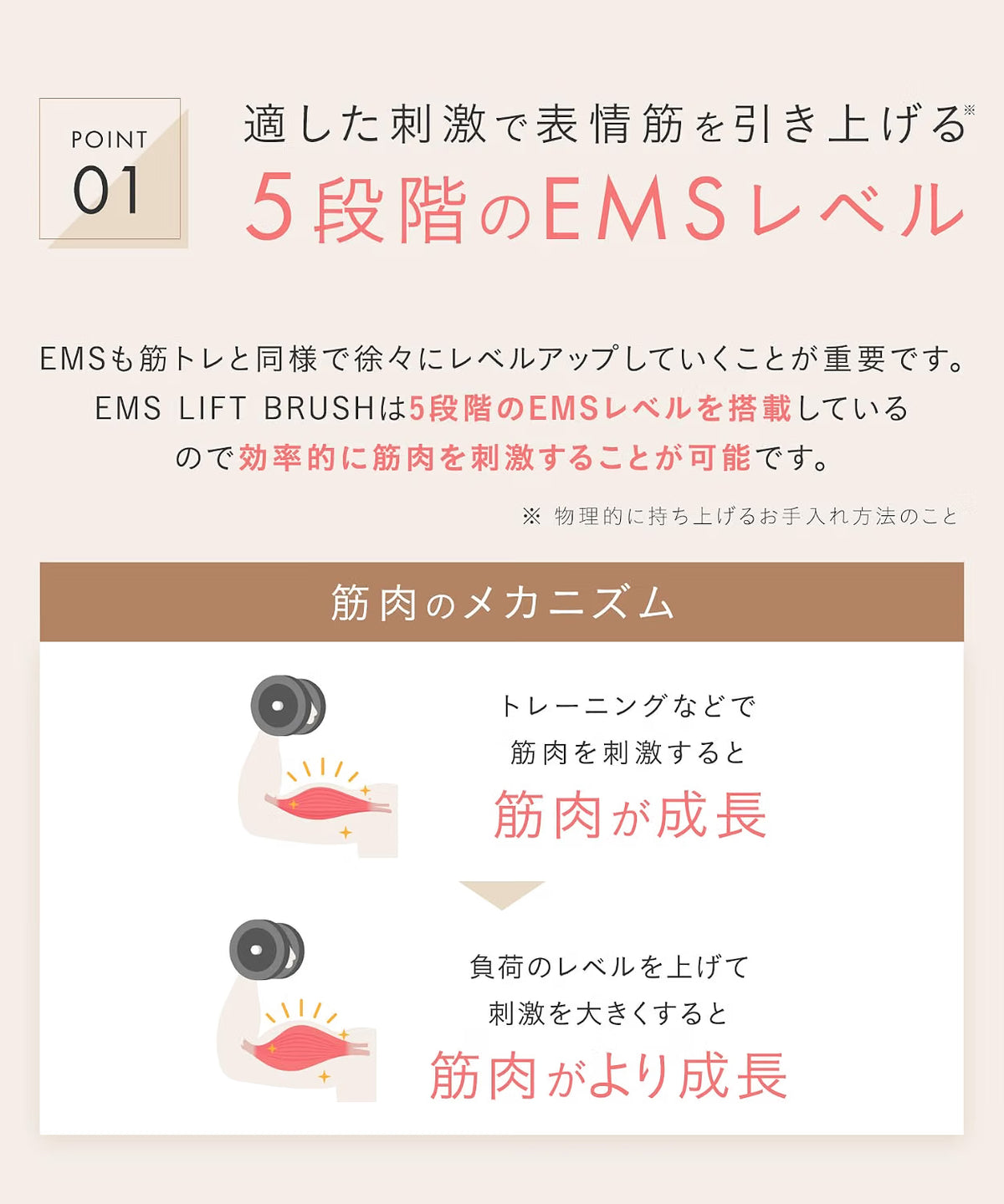 SALONIA 美顔器 EMS リフトブラシのレンタル