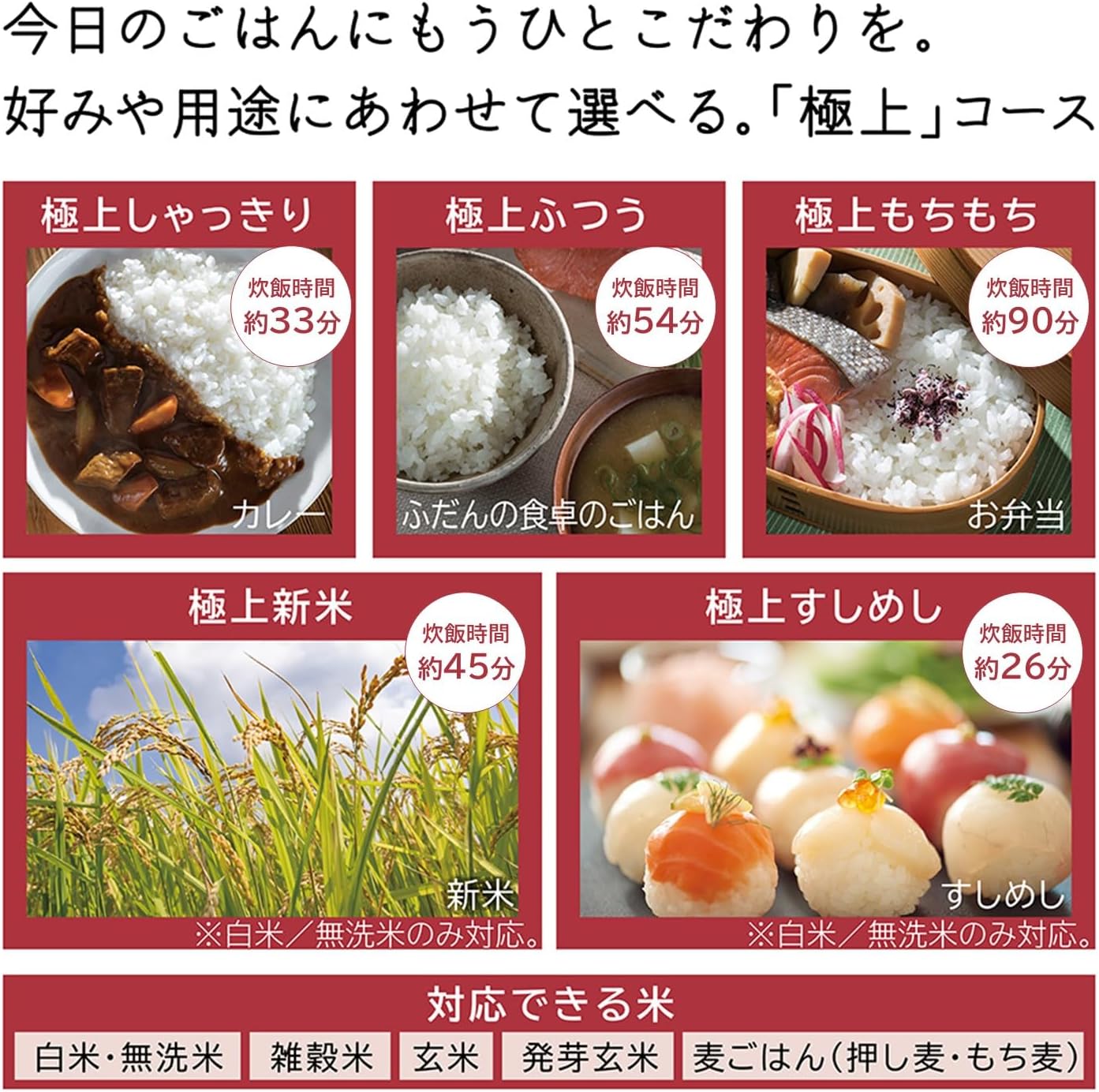 日立 5.5合炊飯器 RZ-W100GMのレンタル