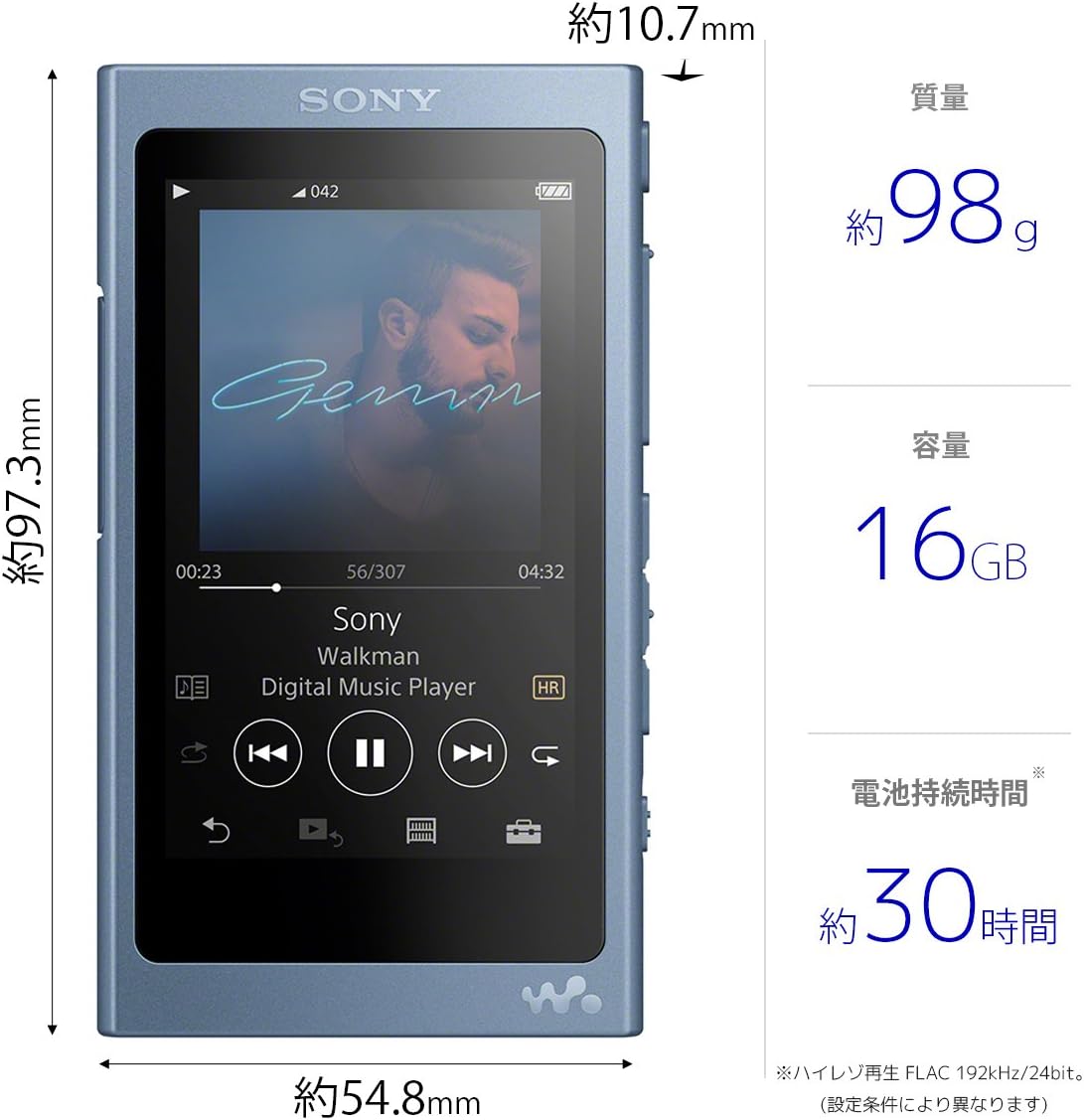 ソニー ウォークマン NW-A45 16GBのレンタル