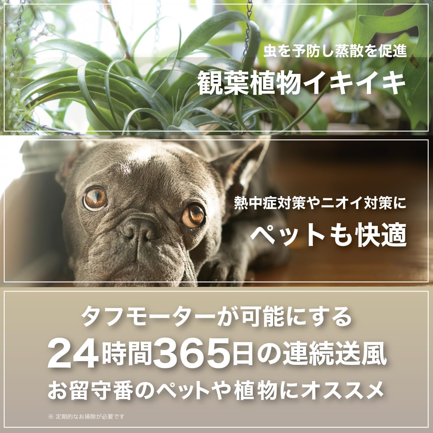 ボルネード サーキュレーター 753OSC-JPのレンタル