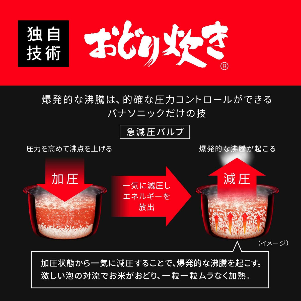 パナソニック 5.5合炊飯器 SR-N510Dのレンタル