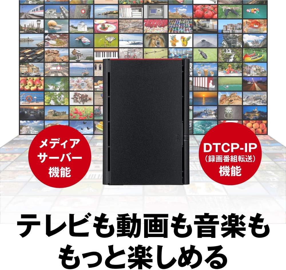 BUFFALO NAS RAID1対応モデルのレンタル