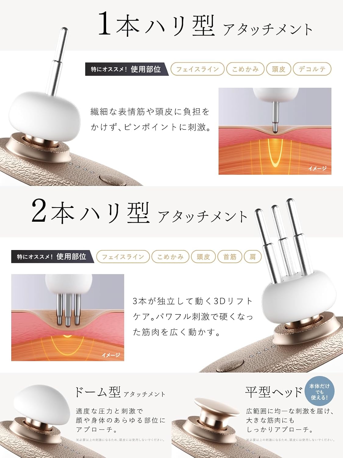 NIPLUX フェイスポインター BEGUNのレンタル