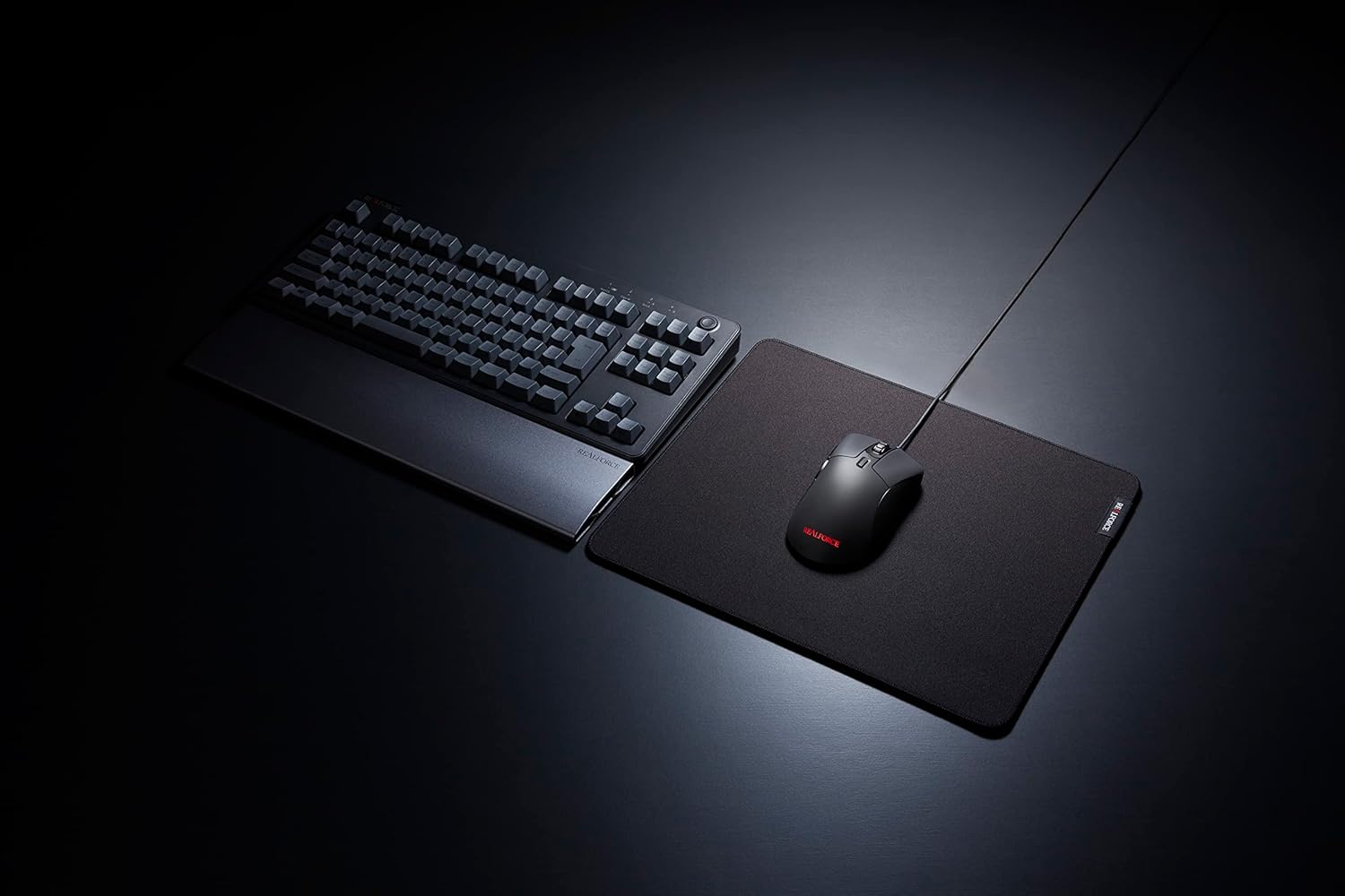REALFORCE RM1 マウスのレンタル
