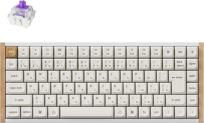 Keychron K2 HE カスタムキーボードのレンタル