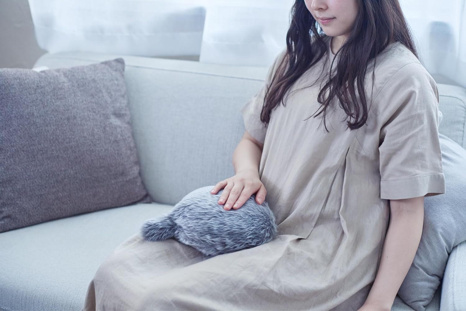 Petit Qoobo ペットロボットのレンタル