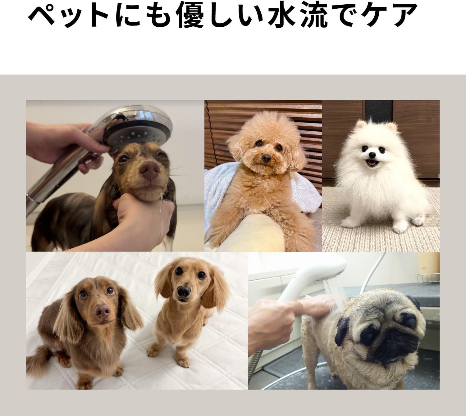 パナソニック ファインバブルシャワーヘッド ファインベールのレンタル