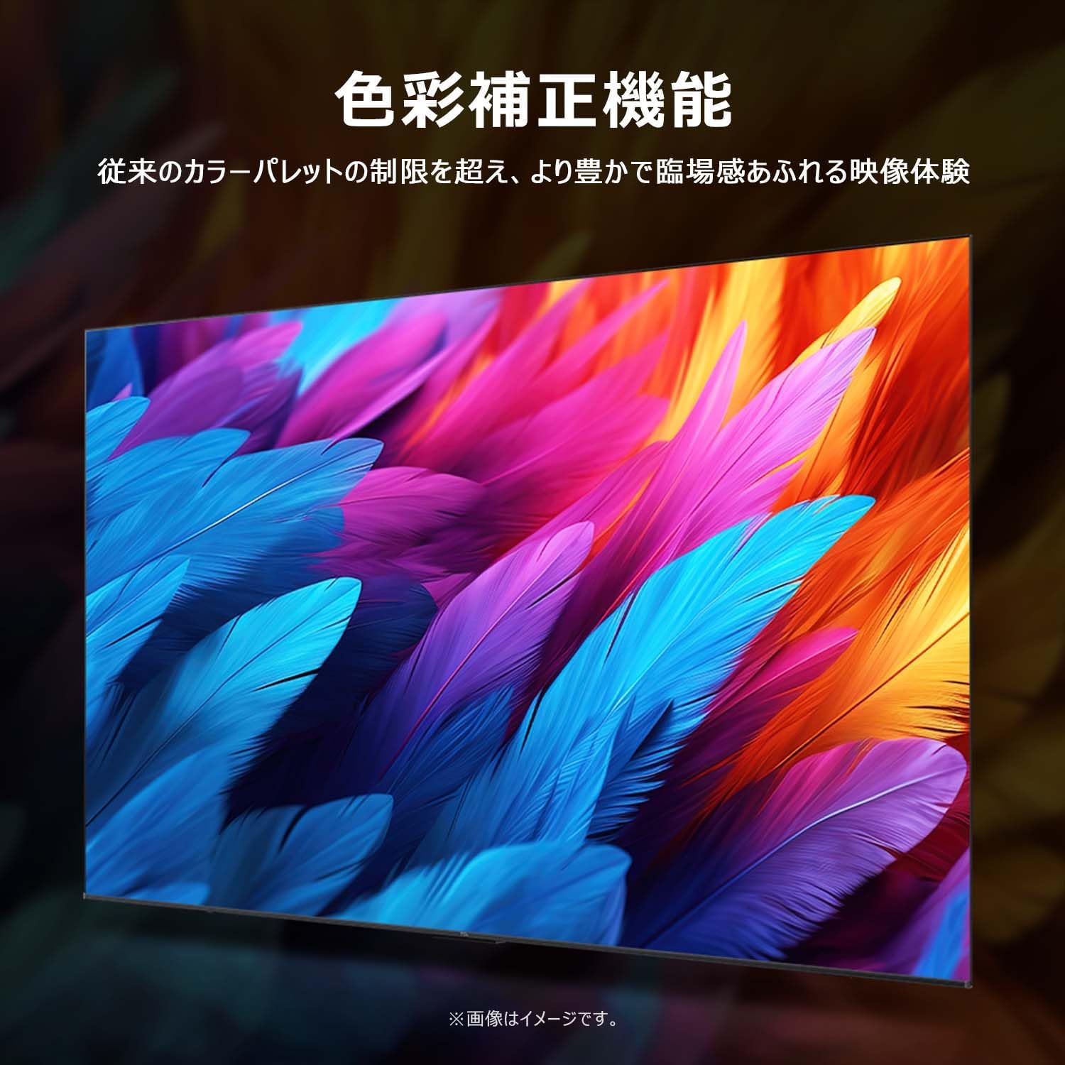 TCL 43Vテレビ 43T6Cのレンタル