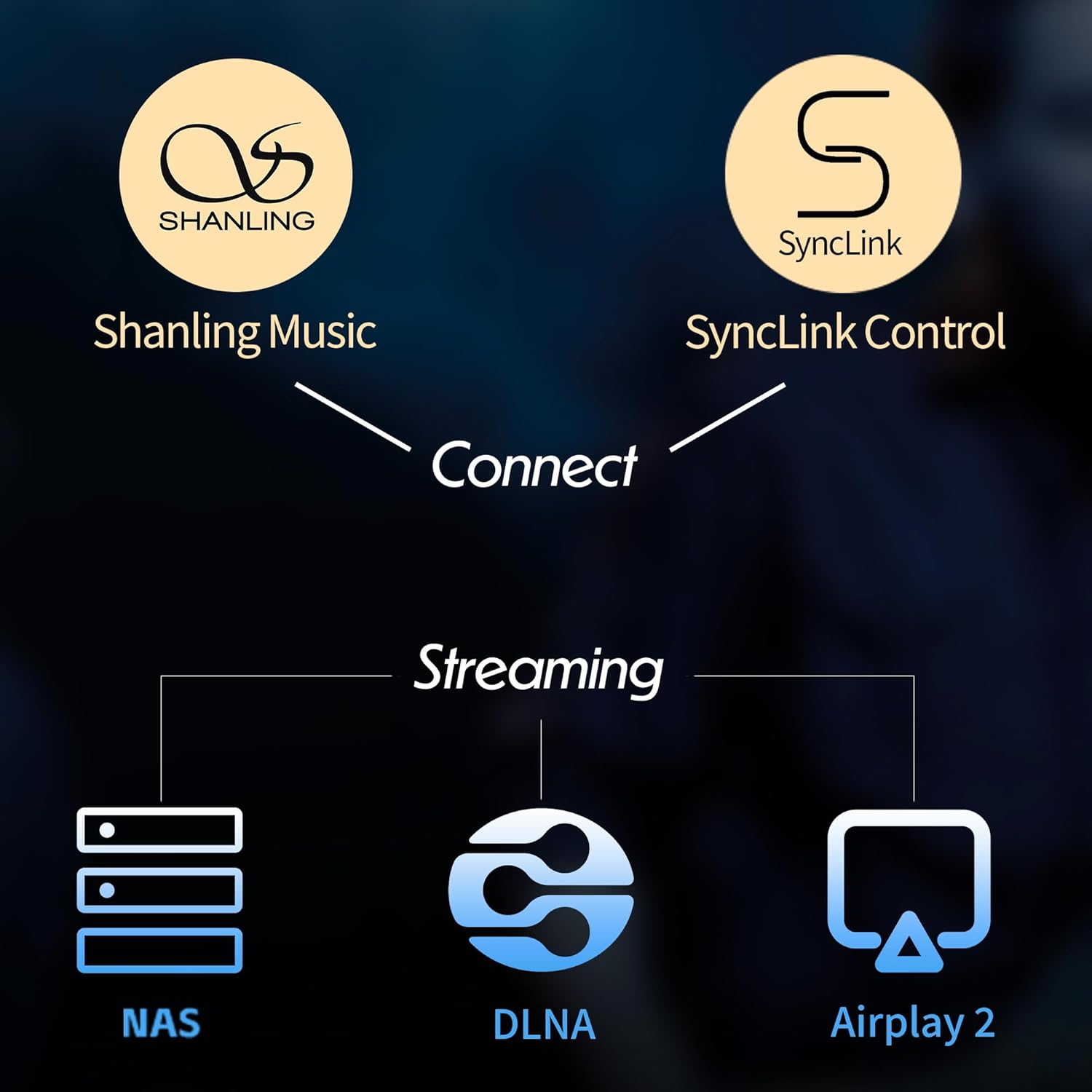 Shanling M3 Plus 音楽プレーヤーのレンタル