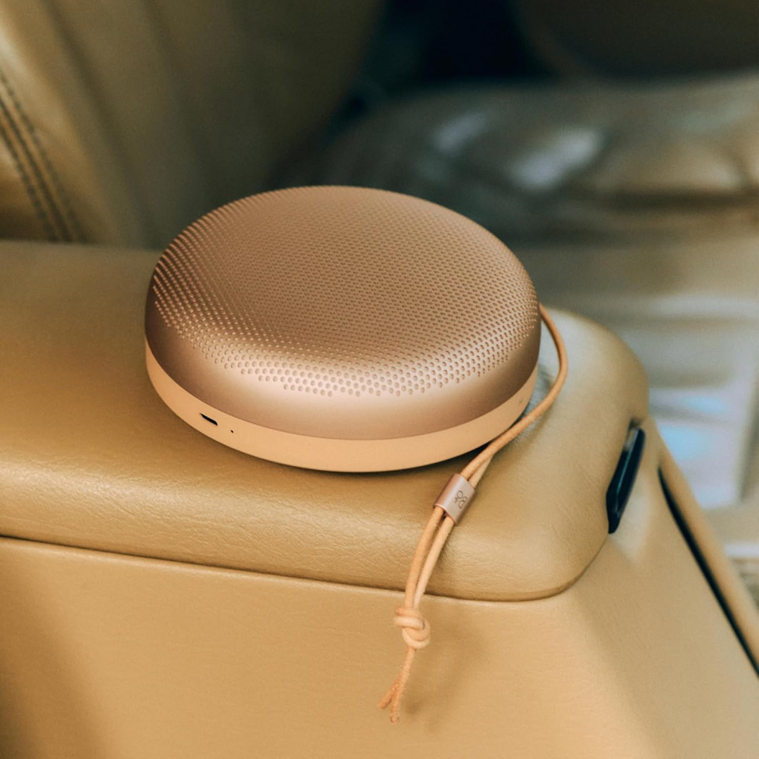 Bang & Olufsen Beosound A1 3rd Genのレンタル