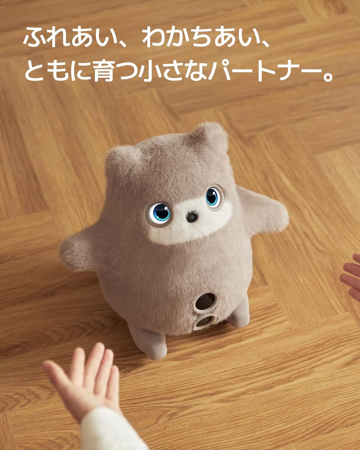 SwitchBot ペットロボット KATAフレンズのレンタル