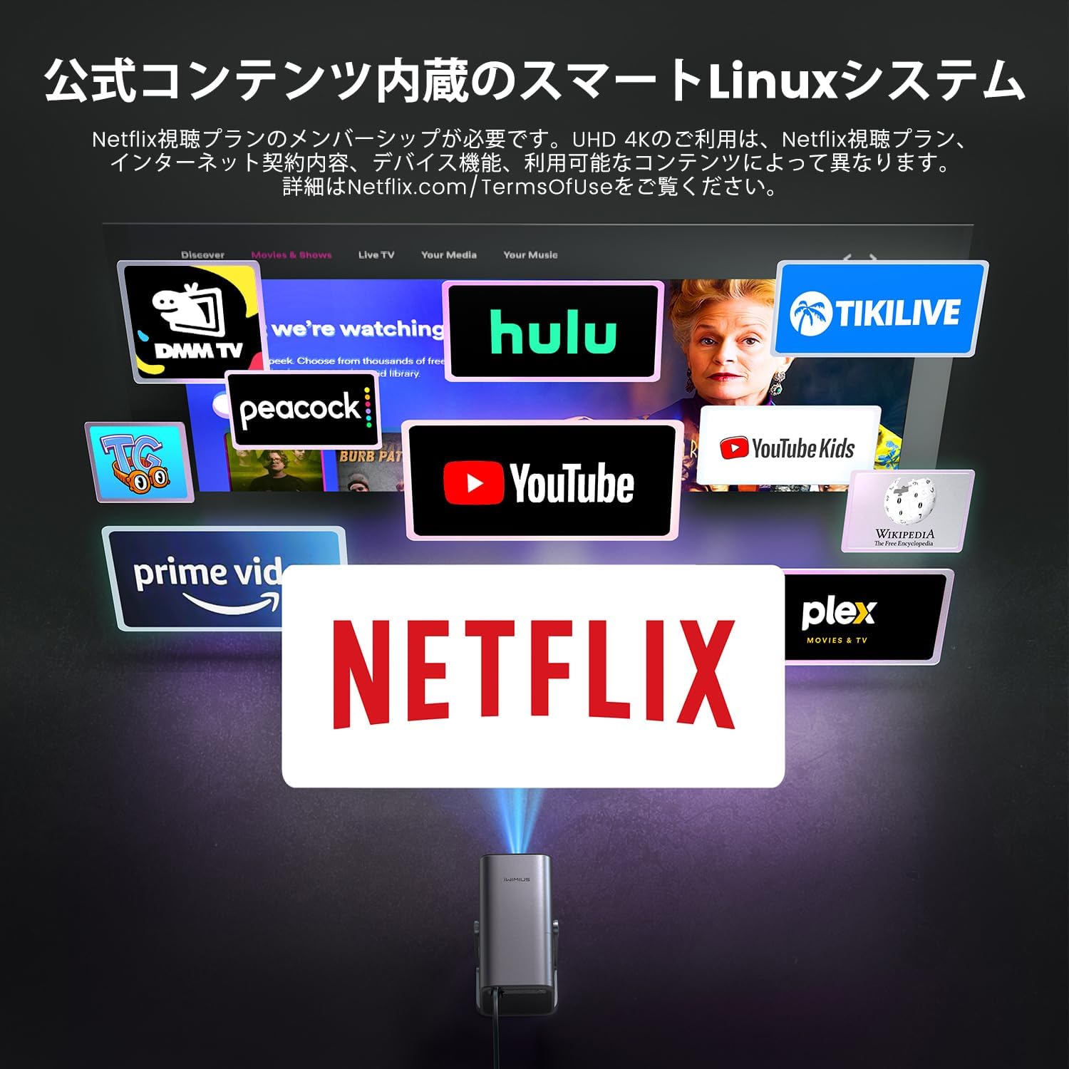 iWiMiUS S29のレンタル