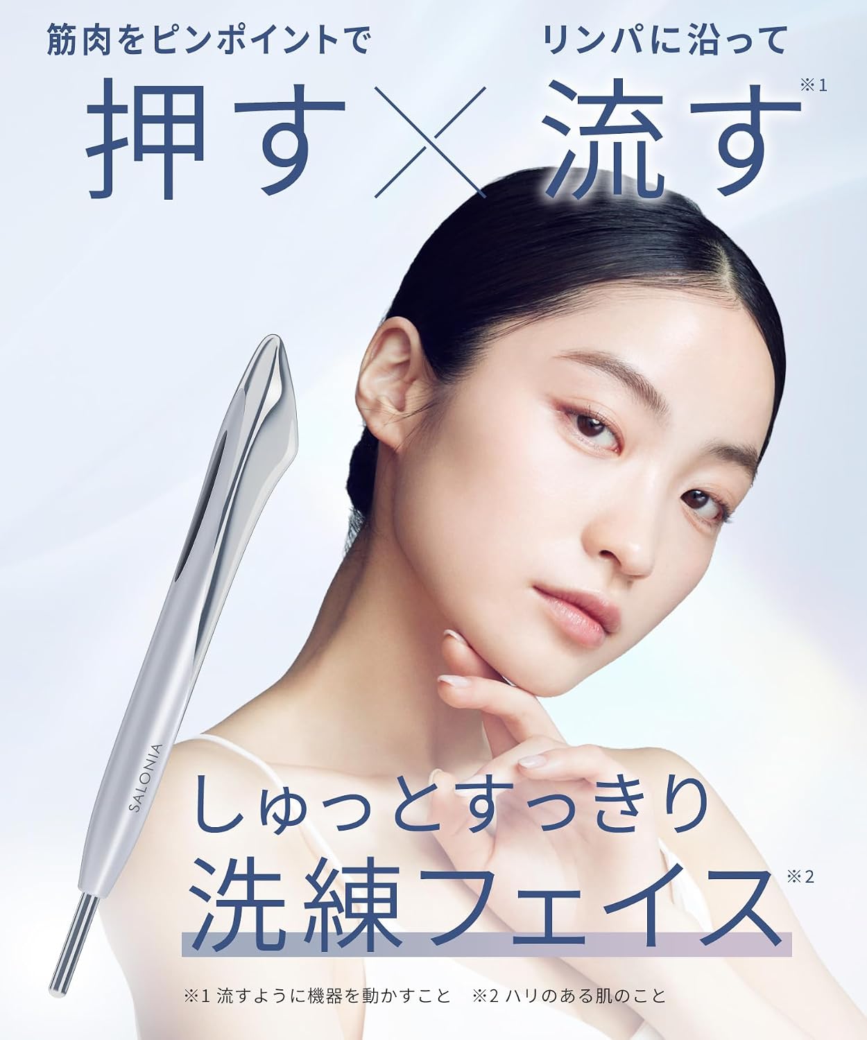 SALONIA フェイスポインター SAL25320SLのレンタル